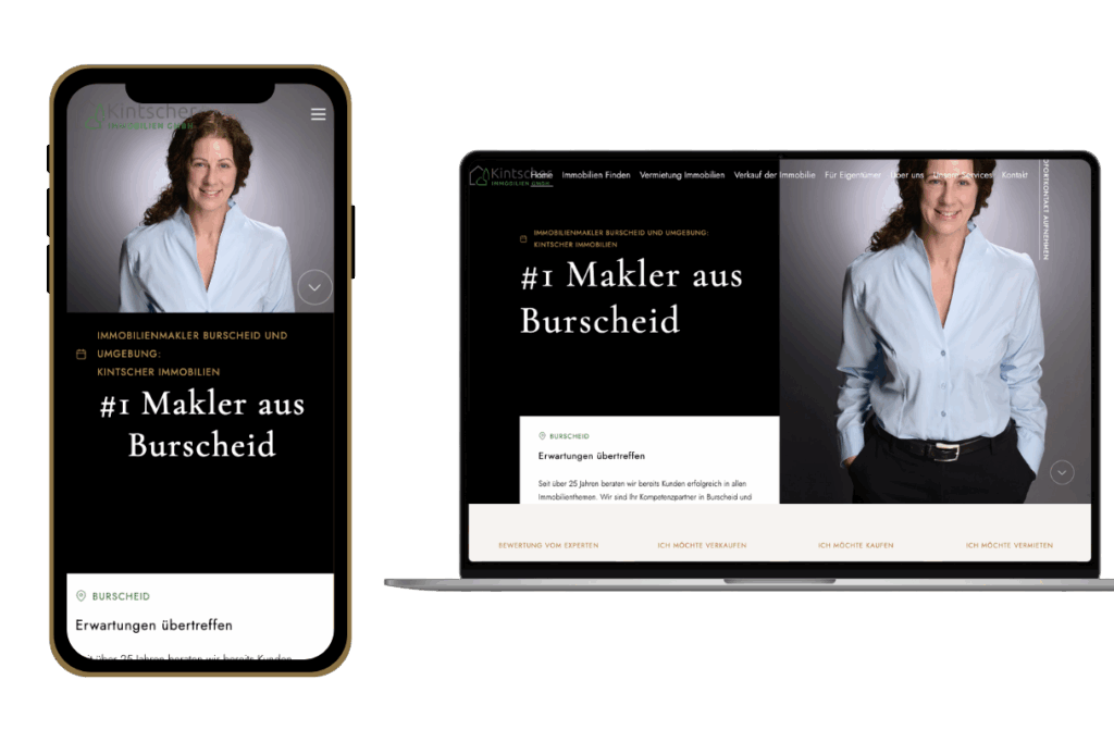 Sitio_Web_de_Kintscher
