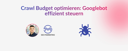 Crawl Budget optimieren: Googlebot effizient steuern